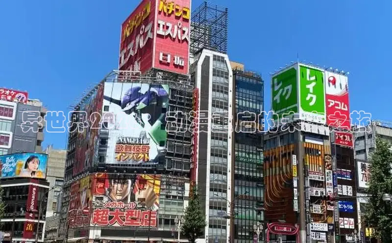 顺盈娱乐登录入口